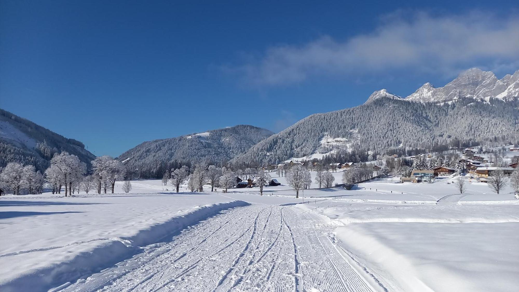 Pension Felsenheim Ramsau am Dachstein Exterior foto